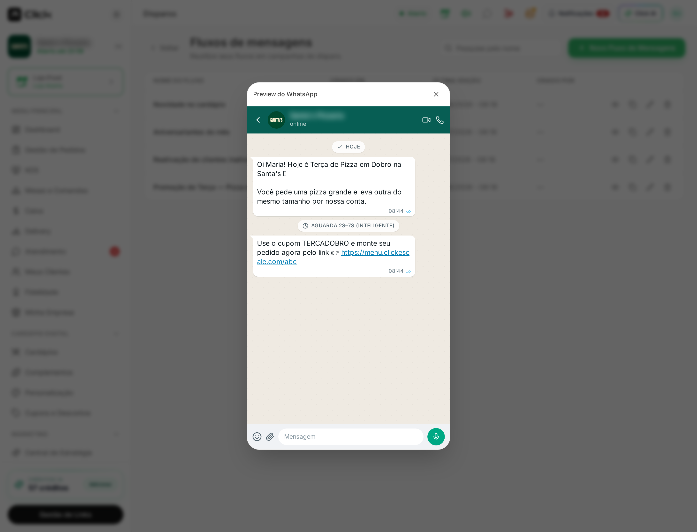 Pré-visualização da conversa no estilo WhatsApp